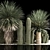 Desert Plant Set for Landscaping with Yucca, Dracaena, Cactus 3D model small image 6