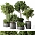 Foliage Duo Set - Potted Verdure 3D model small image 1