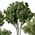 Foliage Duo Set - Potted Verdure 3D model small image 3