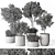 Foliage Duo Set - Potted Verdure 3D model small image 5