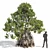 Avicennia Marina Mangrove Tree Set 3D model small image 4