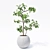 Optimized Indoor Plants 3D Models 3D model small image 2