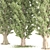 3 Pine Trees Outdoor Scatter 3D model small image 2