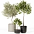 High-Quality Indoor Plant Set 3D model small image 2