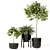 High-Quality Indoor Plant Set 3D model small image 3