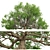 Angel Oak Live Tree Model 3D model small image 1