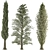 Outdoor Pine Tree Trio 3D model small image 3