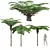 Mountain Fern Tree 3D Model 3D model small image 1