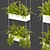 Fern Leaf Hanging 3D Model 3D model small image 1