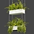 Fern Leaf Hanging 3D Model 3D model small image 4