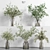 Premium Indoor Plant Collection Vol02 3D model small image 1