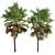 Paurotis Palm 3D Models Bundle 3D model small image 4