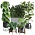 Urban Jungle Collection: Ficus Monstera Palm 3D model small image 1