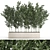 Unique product title: Bamboo Groves for Outdoor and Interior 3D model small image 1