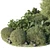 Tropical Topiary and Plants Set 3D model small image 2