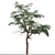 Sophora Japonica Tree Set 3D model small image 2