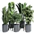 Modern Indoor Plant Collection Set 3D model small image 1