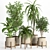 Modern Indoor Plant Set 029 3D model small image 2