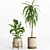 Modern Indoor Plant Set 029 3D model small image 4