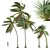 Tropical Coconut Palm Tree Model 3D model small image 1