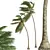 Tropical Coconut Palm Tree Model 3D model small image 3