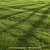 Landscaping Grass Patterns Bundle 3D model small image 1