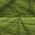 Landscaping Grass Patterns Bundle 3D model small image 2