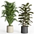 Modern Urban Indoor Plant Set 3D model small image 2