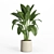 Modern Urban Indoor Plant Set 3D model small image 3