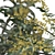 Mahonia Media Plant Pair-Enlivens Gardens 3D model small image 4