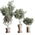  Concrete Vase Indoor Plant Collection 3D model small image 2