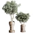  Concrete Vase Indoor Plant Collection 3D model small image 4