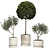 Vray-Rendered Ramin Tree Model 3D model small image 1