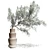 Vintage Olive Tree in Earthenware Vase 3D model small image 2