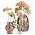 Floral Pack 3 Indoor Plants 3D model small image 2