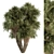 Tropical Palm Tree Ornament Set 3D model small image 2