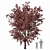 Detailed Acer Palmatum Tree Model 3D model small image 1