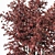 Detailed Acer Palmatum Tree Model 3D model small image 2