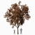 Autumn Acer HD Tree Model 3D model small image 1