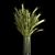  Green Wheat Spikelet Vase 3D model small image 6