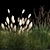 Assorted Ornamental Grass Collection 3D model small image 3