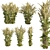 High-quality Common Mugwort 3D Model 3D model small image 1