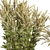 High-quality Common Mugwort 3D Model 3D model small image 2