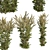 High-quality Common Mugwort 3D Model 3D model small image 4