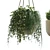 Modern Indoor Hanging Plant with Flower Pots 3D model small image 2