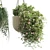 Modern Indoor Hanging Plant with Flower Pots 3D model small image 3