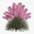 Pink Muhly Grass 3D Model 3D model small image 9