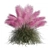 Pink Muhly Grass 3D Model 3D model small image 10