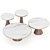 Elegant Modern Coffee Table Set 3D model small image 2