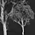 High Detail Sycamore Tree Model 3D model small image 4